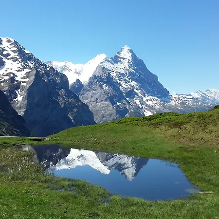 Апартаменты Tschuggen - No Kitchen Гриндельвальд