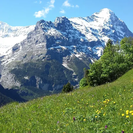 Апартаменти Tschuggen - No Kitchen *