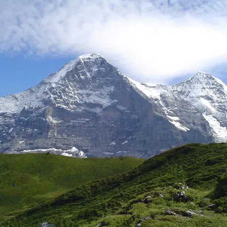 Апартаменты Tschuggen - No Kitchen Гриндельвальд