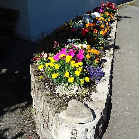 Апартаменты Tschuggen - No Kitchen