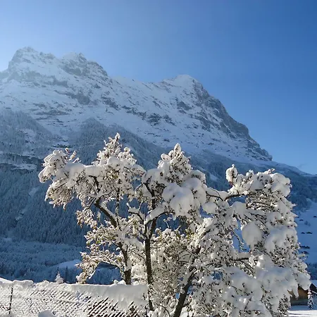 Апартаменти Tschuggen - No Kitchen