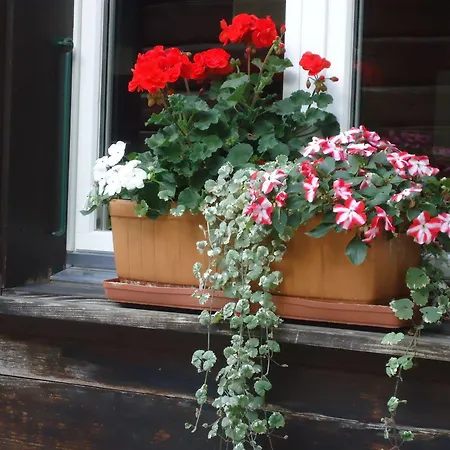 Tschuggen - No Kitchen Апартаменты *