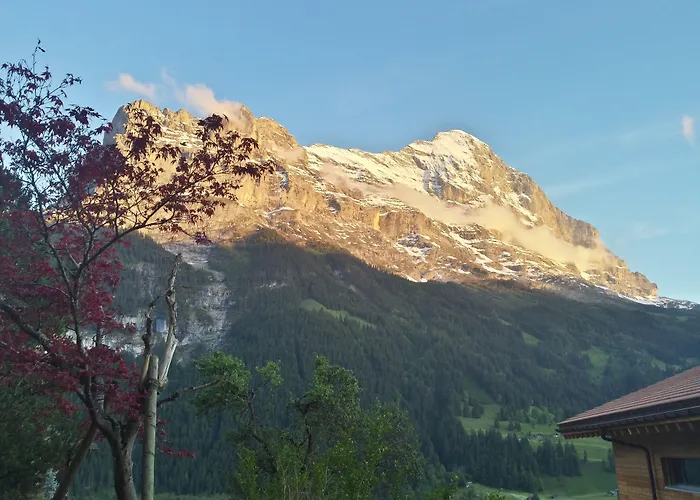 チュッゲン キッチンなし