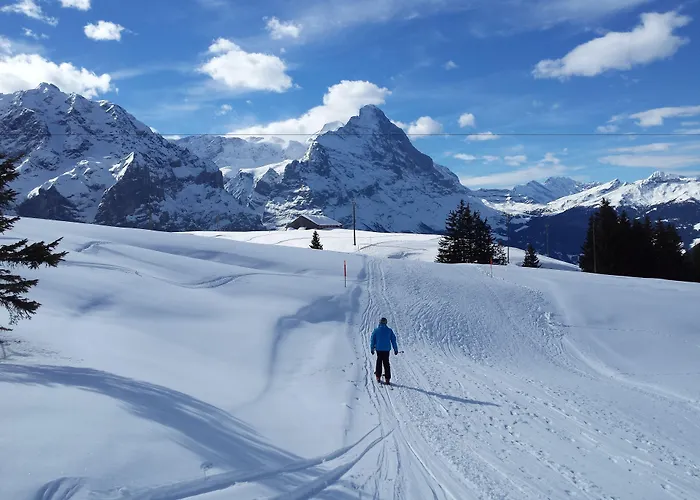 チュッゲン キッチンなし *