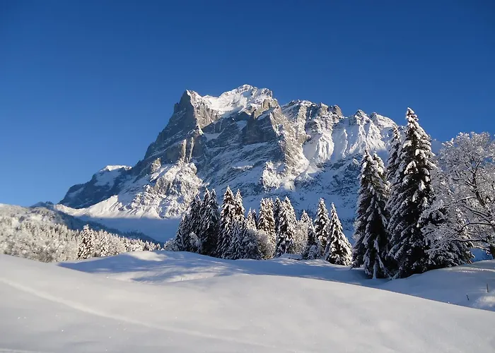 Tschuggen - No Kitchen