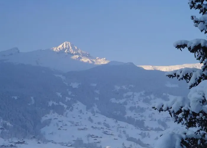 チュッゲン キッチンなし * グリンデルヴァルト