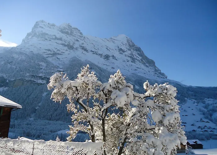 Apartamento Tschuggen - No Kitchen