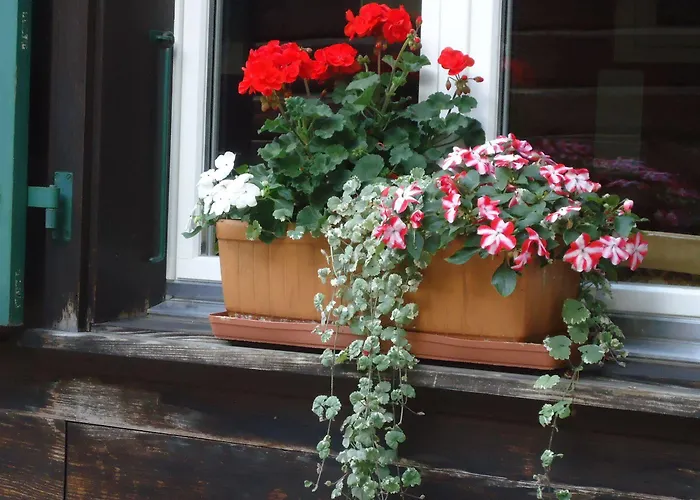 Tschuggen - No Kitchen Apartamento *