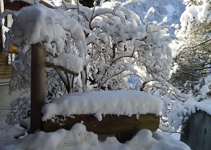 Tschuggen - No Kitchen Apartamento Grindelwald