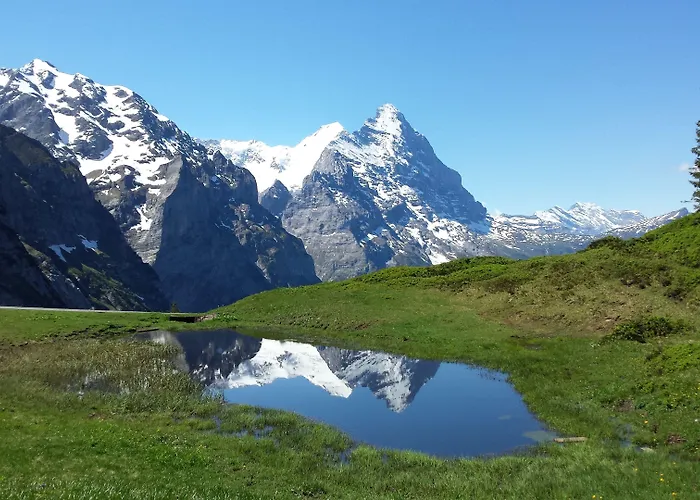 Apartment Tschuggen - No Kitchen Grindelwald