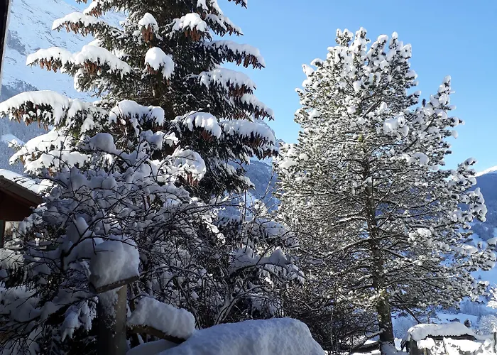 Tschuggen - No Kitchen * Grindelwald